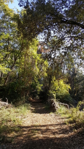 Natural Park Migliarino San Rossore